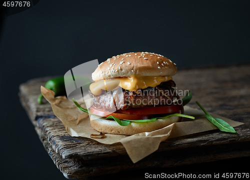 Image of fresh tasty burger