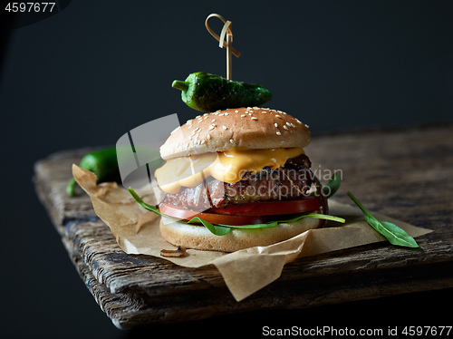 Image of fresh tasty burger