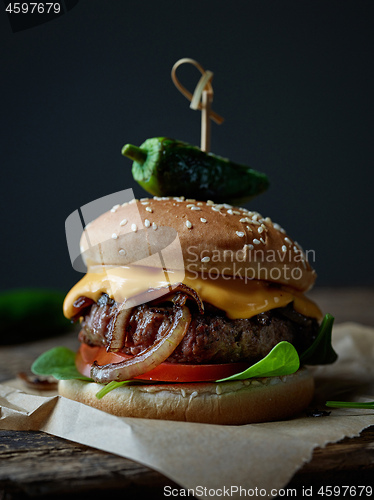 Image of fresh tasty burger