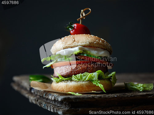 Image of fresh tasty meat free burger