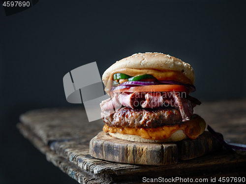 Image of fresh tasty steak burger