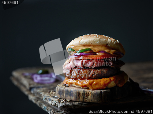 Image of fresh tasty steak burger