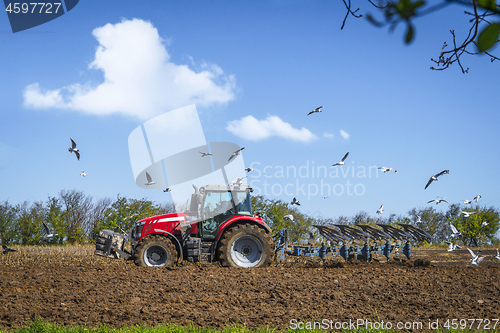 Image of Seagulls flying over a rural field with a red tractor