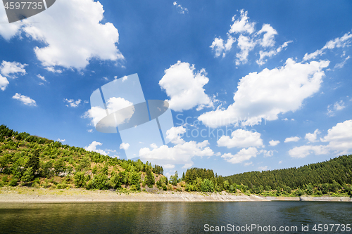 Image of Green trees around a lake in the summer