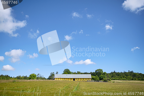 Image of Farm in yellow colors on a green field