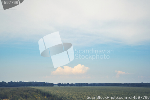 Image of Matte landscape with rural fields