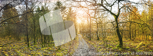 Image of Panorama scenery with a trail going through