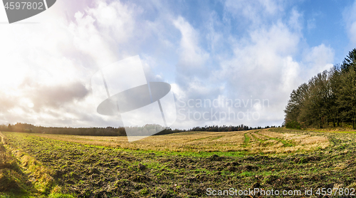 Image of Rural panorama landscape in the morning