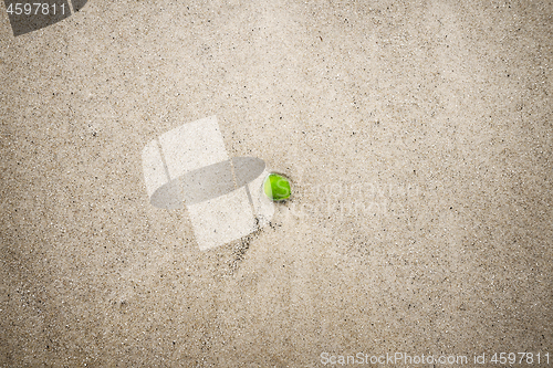 Image of Green sanded glass in the water on a beach