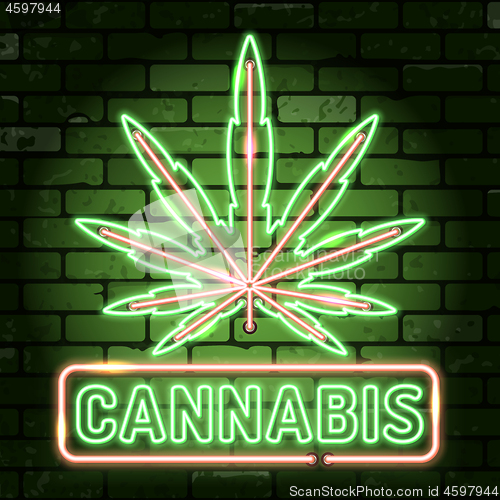 Image of Cannabis Neon Frames Signboards