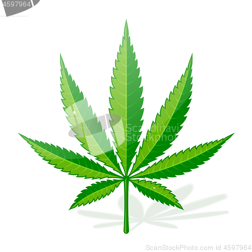 Image of Cannabis Hemp Leaf Flat Icon