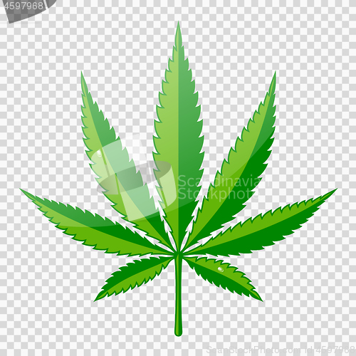 Image of Cannabis Hemp Leaf Flat Icon