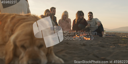 Image of Friends Relaxing At Bonfire Beach Party