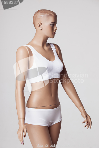 Image of The female mannequin over gray studio background