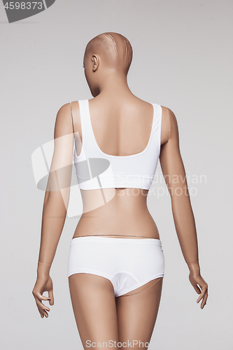 Image of The female mannequin over gray studio background