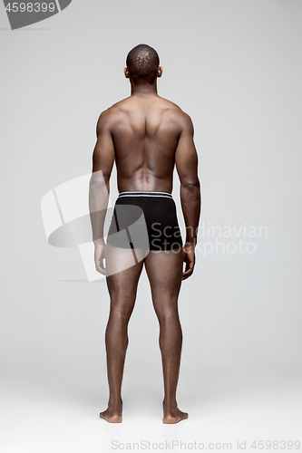 Image of Fit young man with beautiful torso isolated on white background