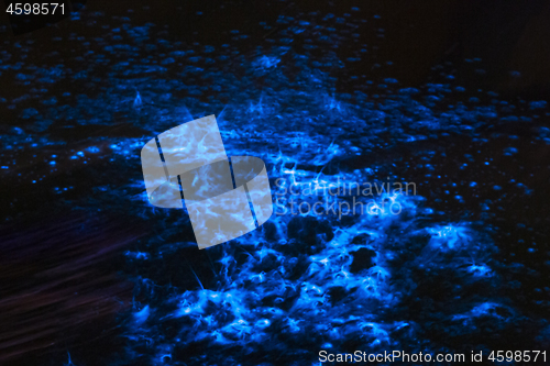 Image of Bioluminescence sea sparkle in ocean tide