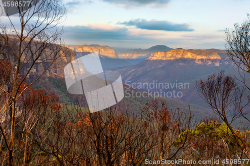 Image of Blue Mountains escarpment and valley after a bush fire