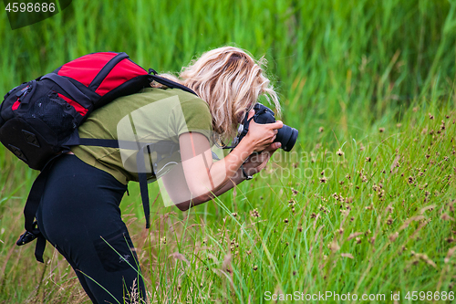 Image of Woman photographer taking a picture of wild life