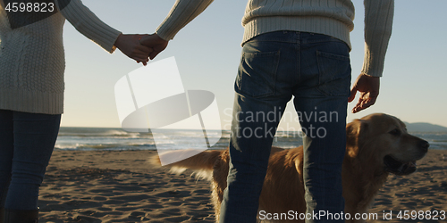 Image of couple with dog having fun on beach on autmun day