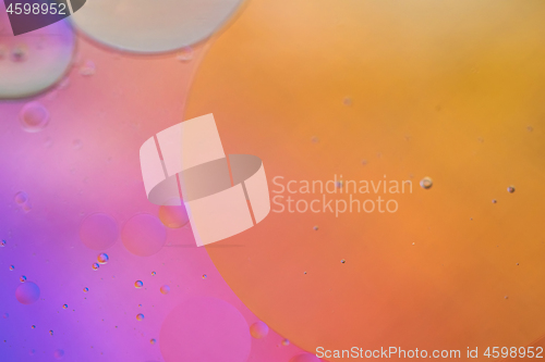 Image of Orange and purple abstract background picture made with oil, water and soap