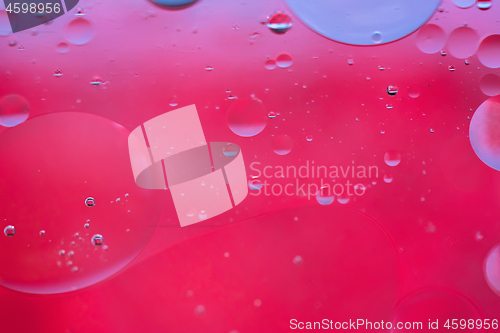 Image of Red abstract background picture made with oil, water and soap