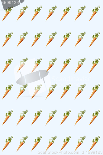 Image of Vegetables pattern from natural organic carrot root.