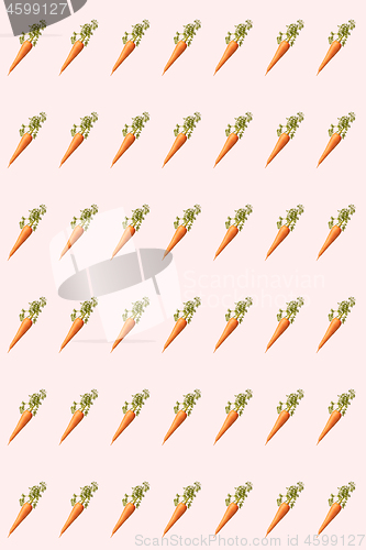 Image of Organic vegetarian pattern from fresh carrots