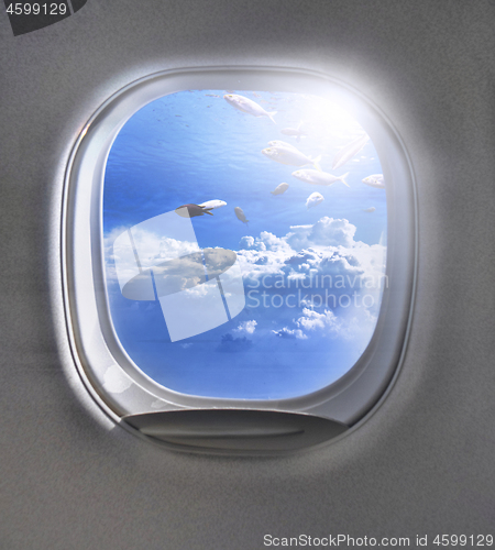 Image of Shoal of fish in a cloudy blue sky through airplane porthole.