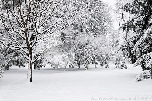 Image of Winter park