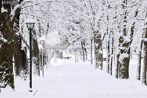 Image of Lane in winter park