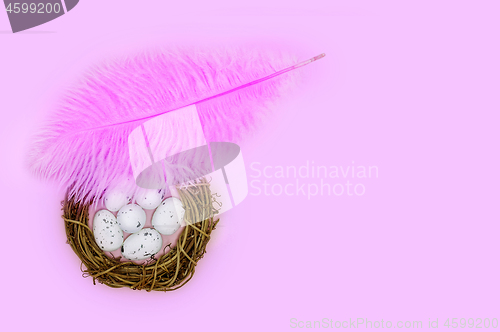 Image of Pink feather shelters a nest with eggs on a pink background Easter concept.