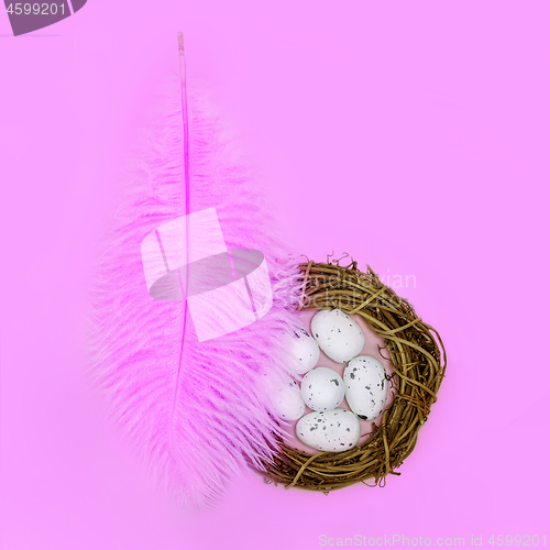 Image of Pink feather shelters a nest with eggs on a pink background Easter concept.