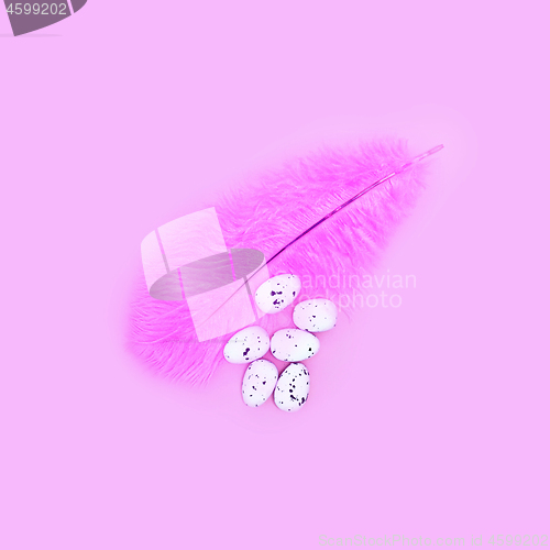 Image of Eggs on a pink feather on a pink background. Easter concept.