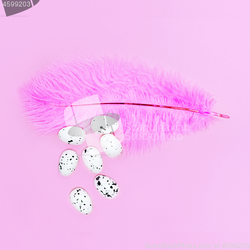 Image of Eggs on a pink feather on a pink background. Easter concept.