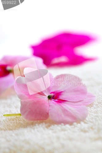 Image of Gentle flower on luxury towel