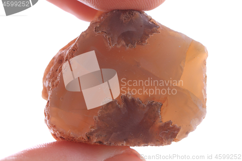 Image of natural agate isolated