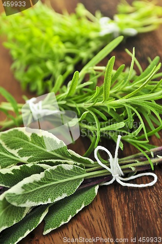 Image of Bunches of fresh herbs