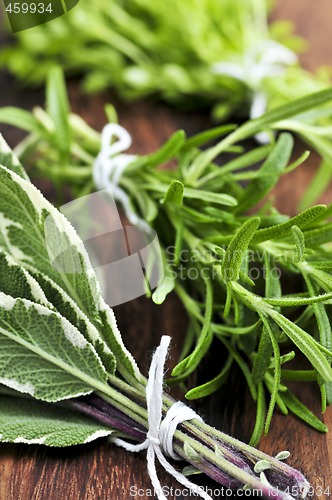 Image of Bunches of fresh herbs