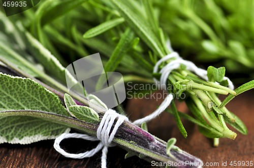 Image of Bunches of fresh herbs