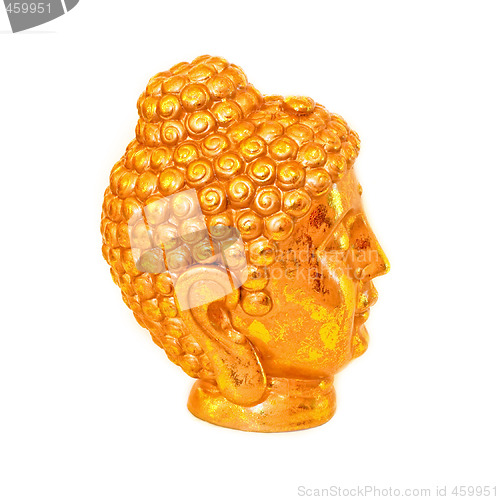 Image of Golden head