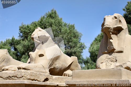 Image of Statue of Ram Headed Sphinx in Karnak Temple, Luxor, Egypt