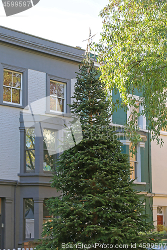 Image of Christmas Tree Street