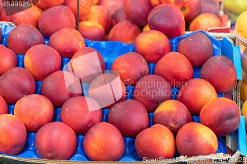 Image of Nectarines