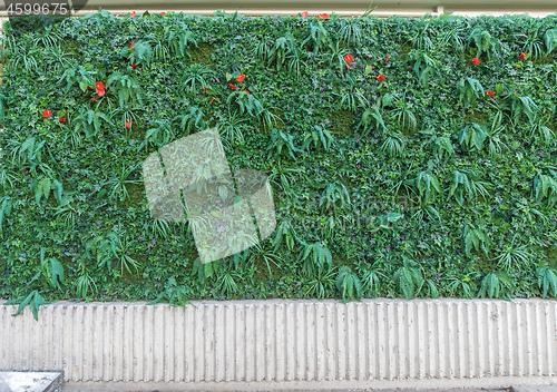 Image of Artificial Hedge Wall