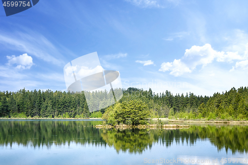 Image of Colorful lake scenery with reflections of trees