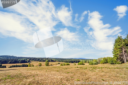 Image of Dry plains on a hillside in the summer