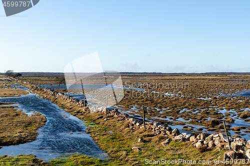 Image of Flooded landscape by early springtime