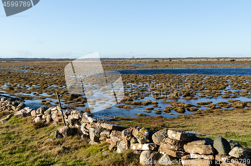 Image of Wetland with grass tufts and a traditional dry stone wall