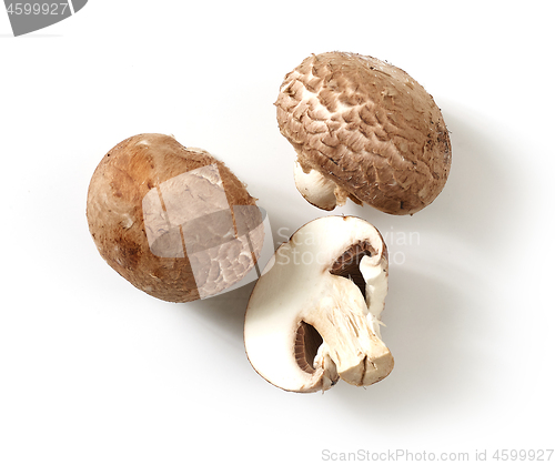 Image of fresh mushrooms on white background